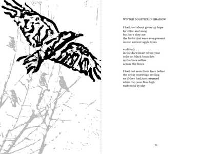 solstice1